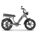 Ape Ryder MD10 Premium Elektrische Fatbike 250W / 48V / 14.5AH / 20Inch