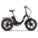 RKS RSI-X PRO Electric Bicycle 250W / 36V / 10AH / 20Inch